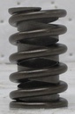 Intake And Exhaust Valve Spring Compatible With 1.jpg