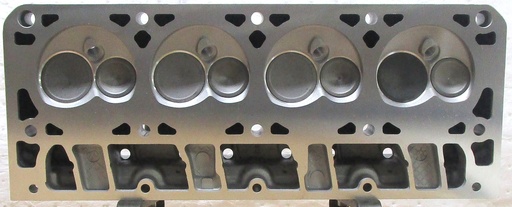 [170138VS] 1997 + Reconditioned Aluminum Cylinder Head For GM LS1 5.7L/346 CID V8, OHV 16 Valve ( BOTH ) Casting #12564241, Compatible With : 97-04 Chevrolet Camaro, Corvette, Pontiac Transam, 98-02 Firebird, 04 GTO, Vin : G ($100 Core Charge) this is a Used casting so there are visible chips and scratches but they will not affect the performance of the cylinder head. C.H.E will provide Return Core label, ple